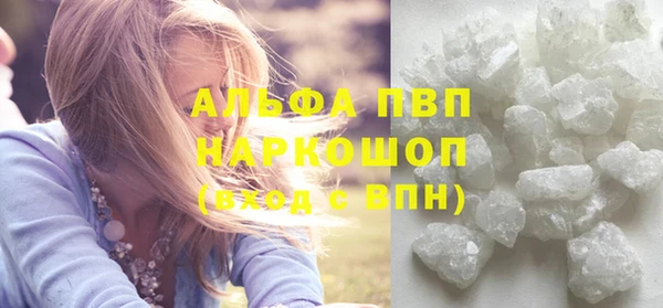PSILOCYBIN Вяземский