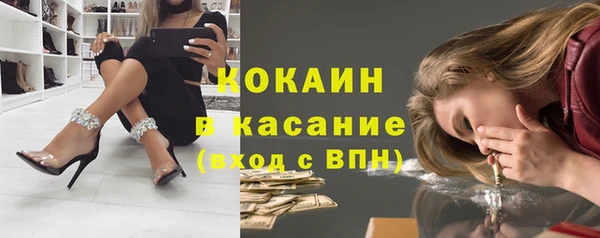 PSILOCYBIN Вяземский